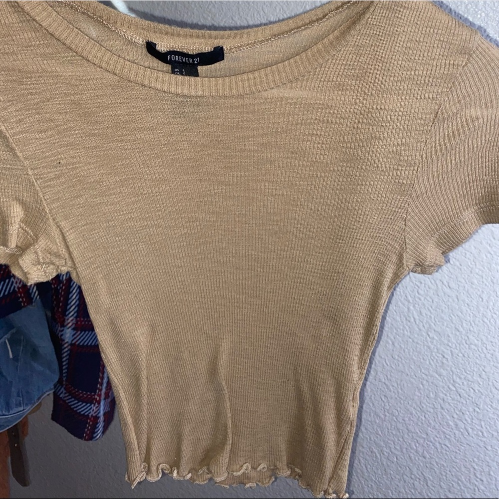 Sheer crop top